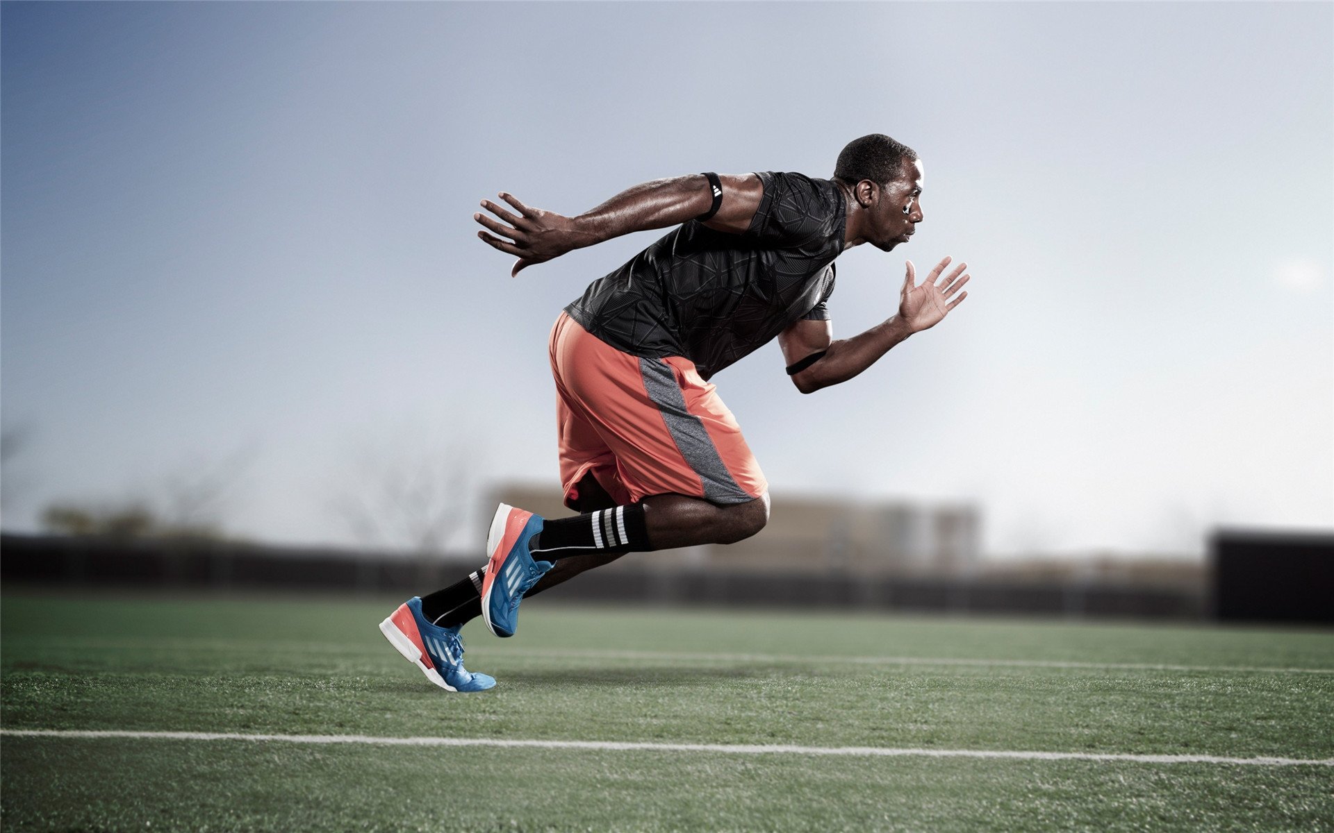 科维托娃迎来二十赛季出色发挥，德国队观众热烈欢呼！全场沸腾不已